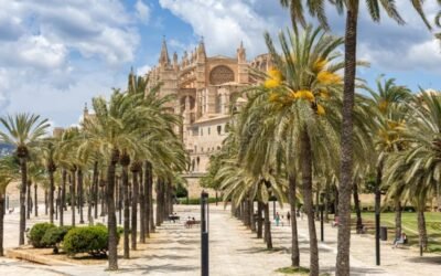 El Espejo del Mediterráneo: Historia, Magia y Secretos de la Catedral de Palma de Mallorca